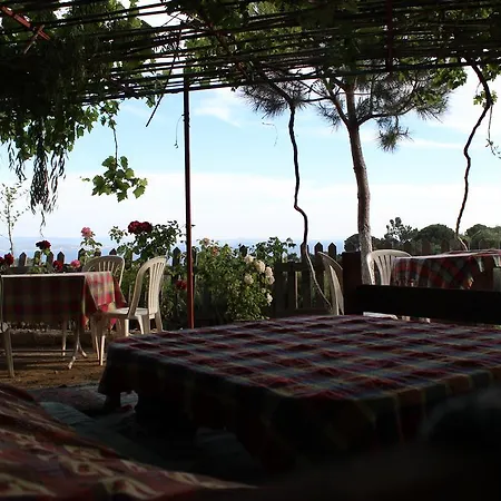 ゲストハウス Ikizler Konuk Evi *